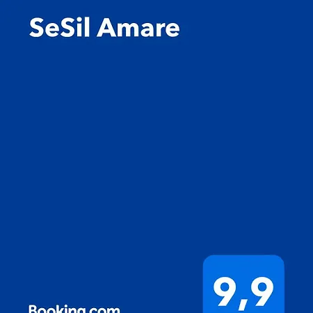 Sesil Amare